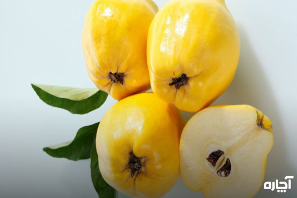 میوه به سرشار از مواد مغذی