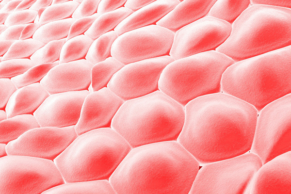 بازسازی و ترمیم سلولی پوست: آینده مراقبت از پوست